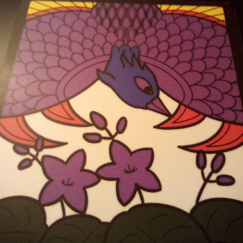 Violet Variety #10 - December Light